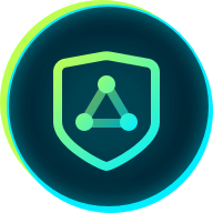 Packet Loss Recovery